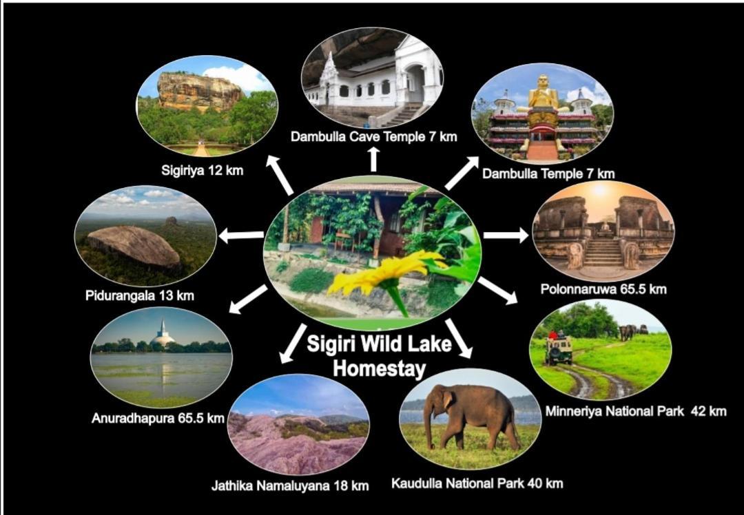 Sigiri Wild Lake Dambulla Exteriér fotografie