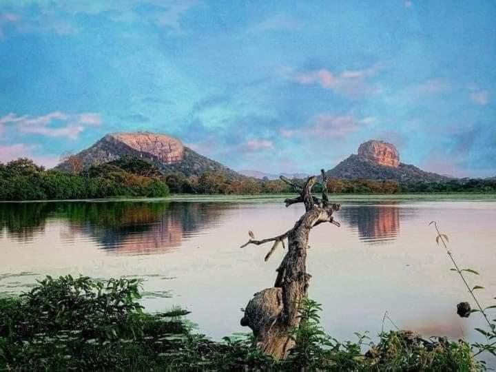 Sigiri Wild Lake Dambulla Exteriér fotografie